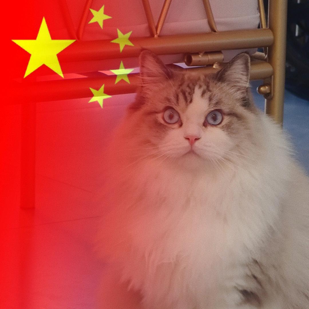 林中雪落晴ﾉ☀
