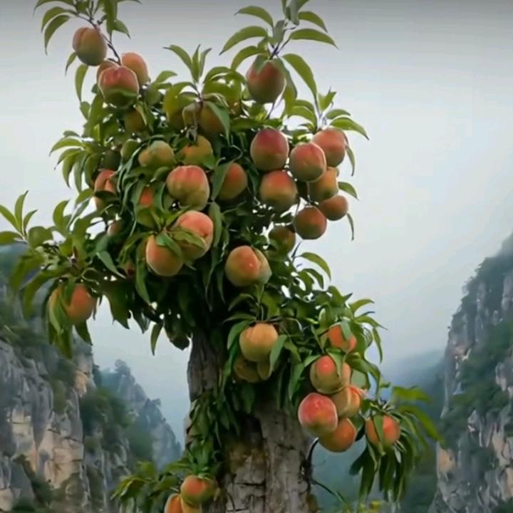 嘿嘿