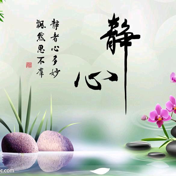 🌾静❤️心💫