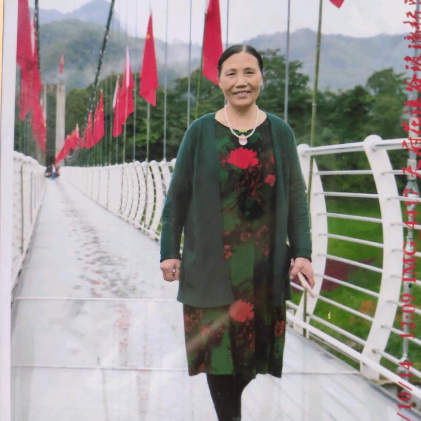 开心果-