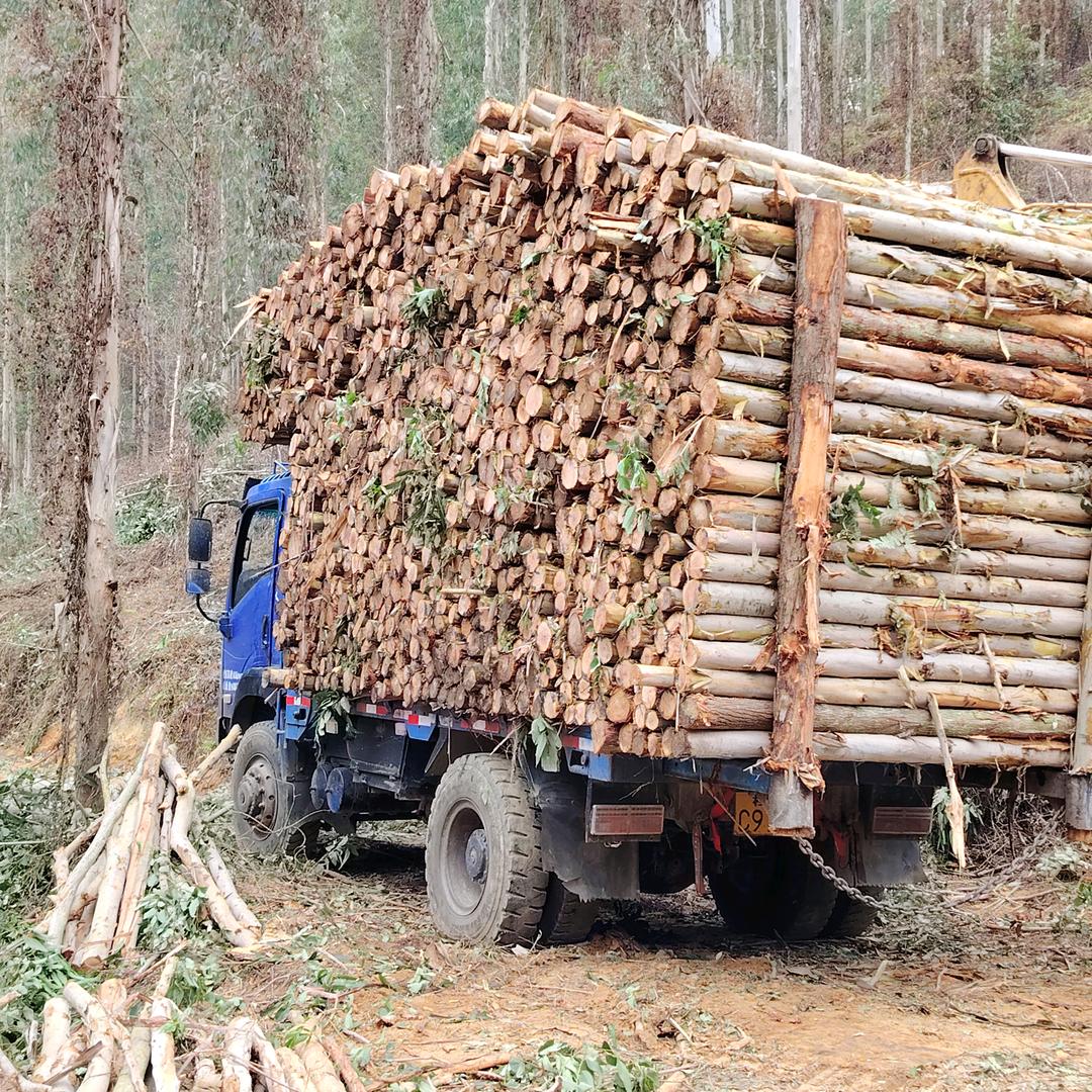 ✌二表～拉木仔