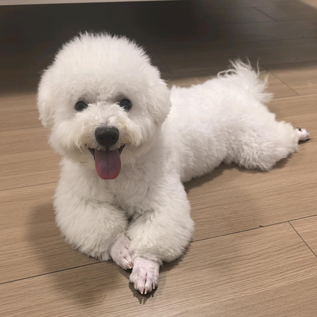 九月👸和福仔🐶