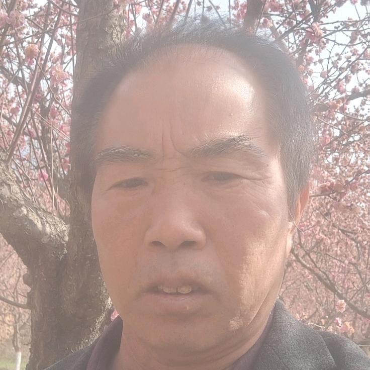 高坚定