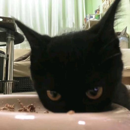 可惜深秋总多离别