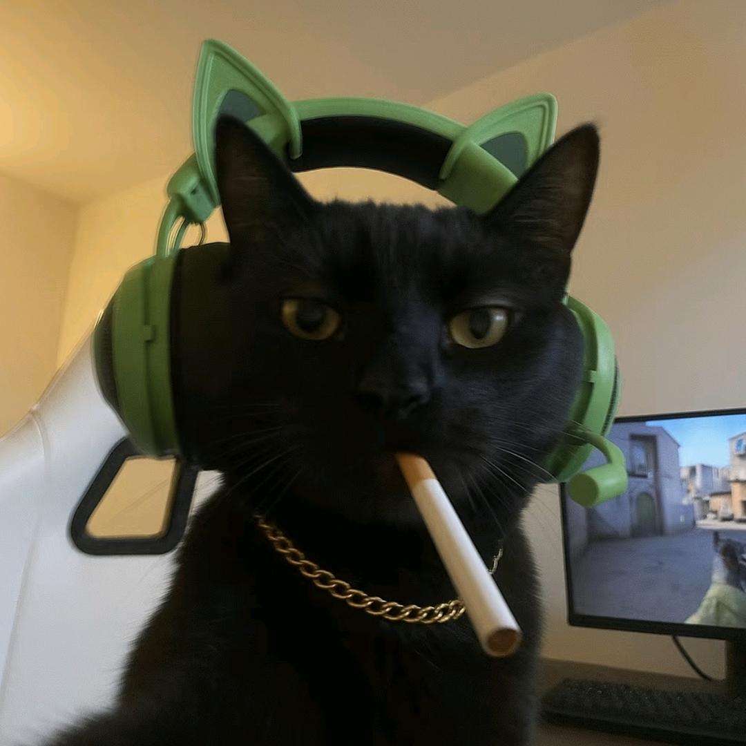 zh