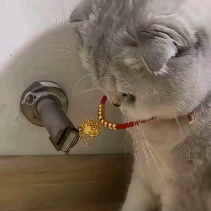 二十五点六十一分