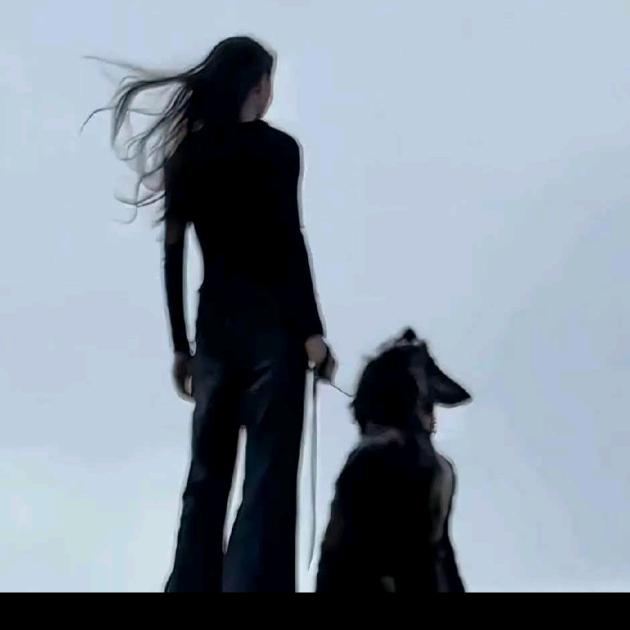 孤独的老鹰๑•́₃•̀๑