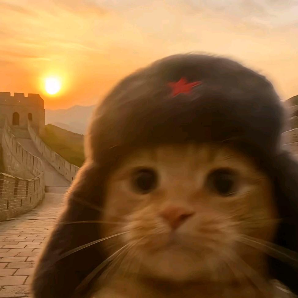 书叔