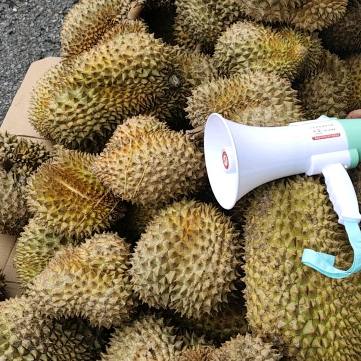 榴莲大王