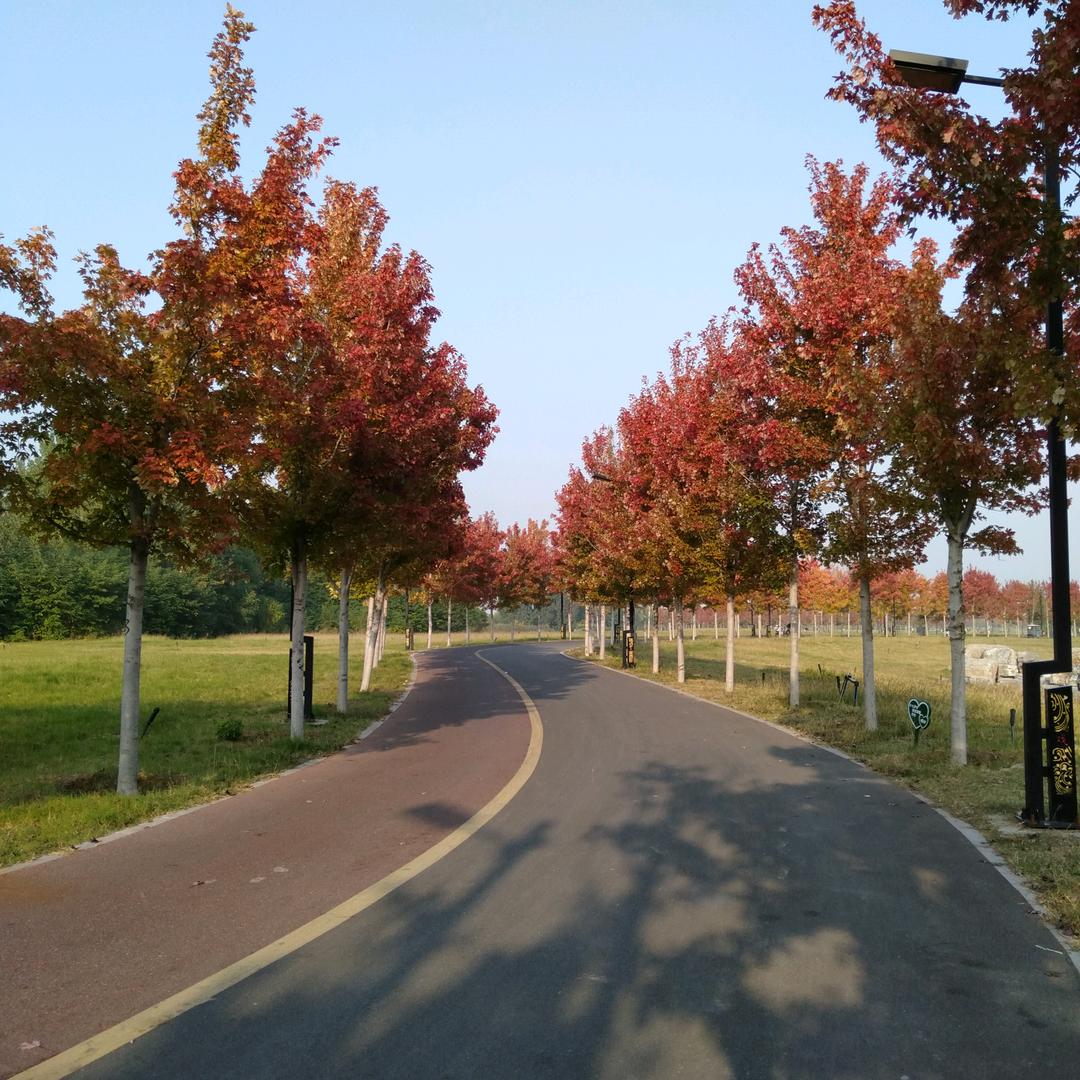 皮鞋商场东郊店佰丹莉