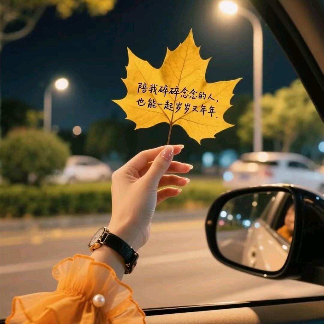 听刘老师讲单招