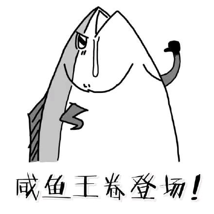 迷茫的我该何去何从