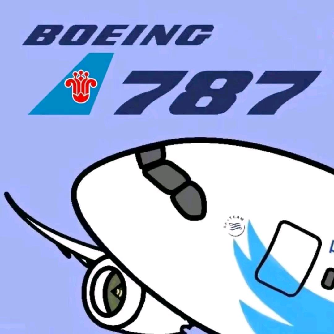 一架南航的梦想787