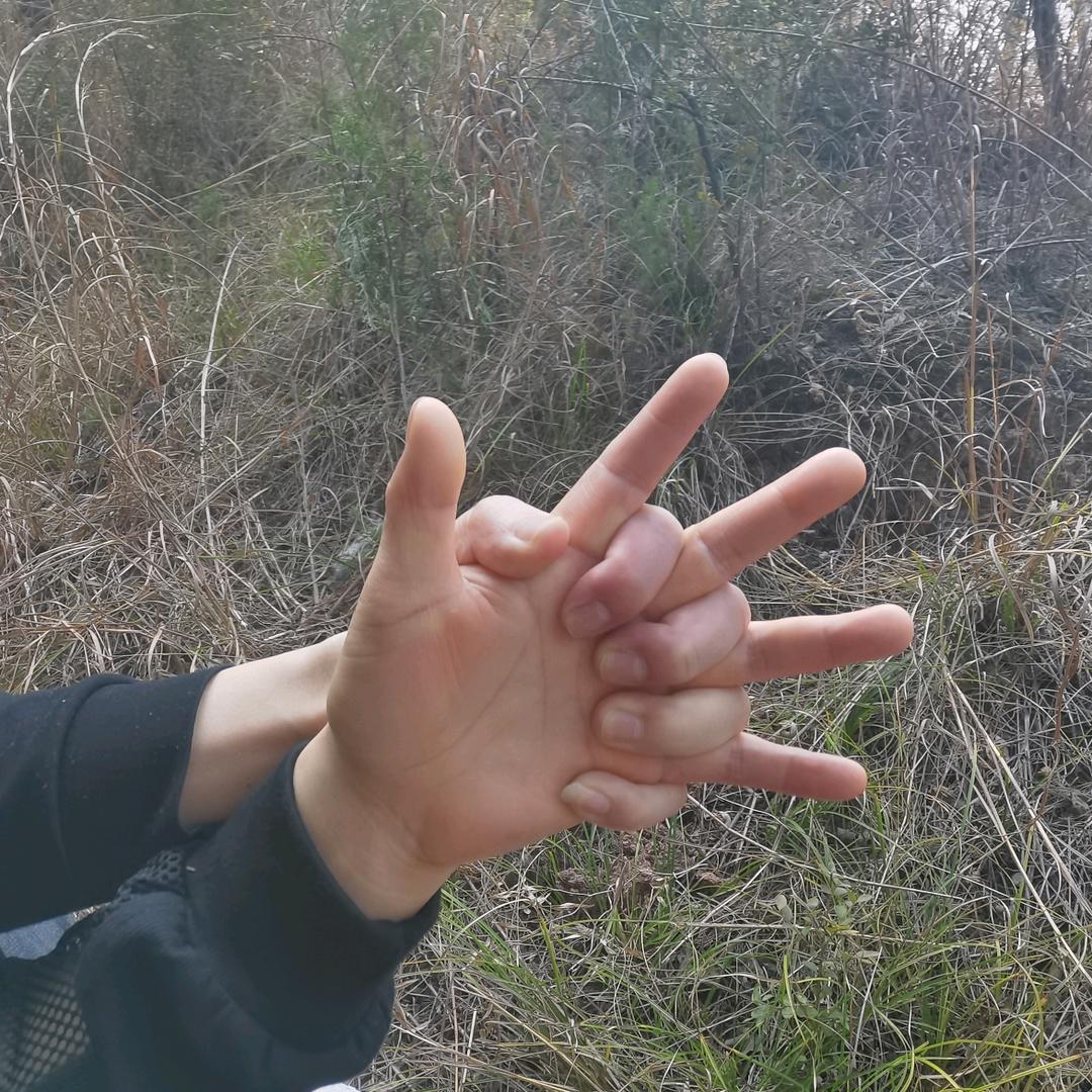 最熟悉的陌生人