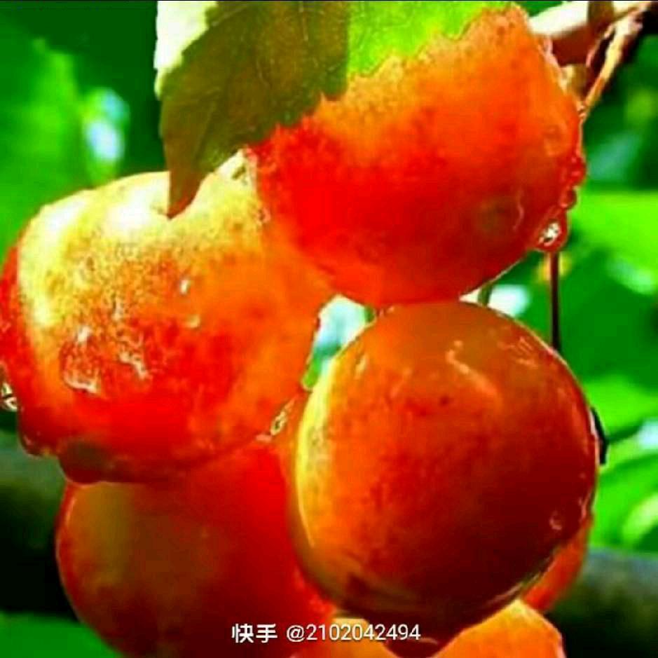 刘广发