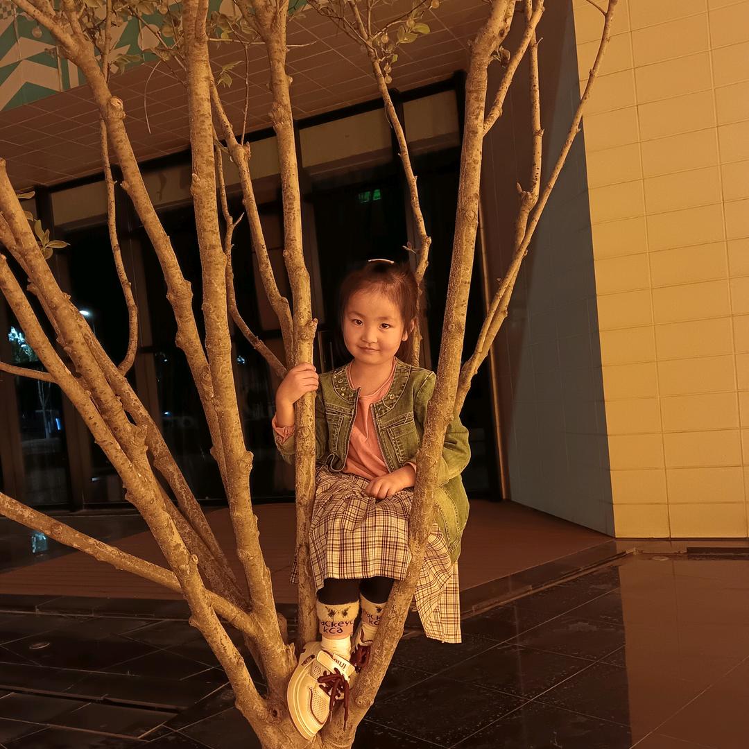 🌻未来可期🌻