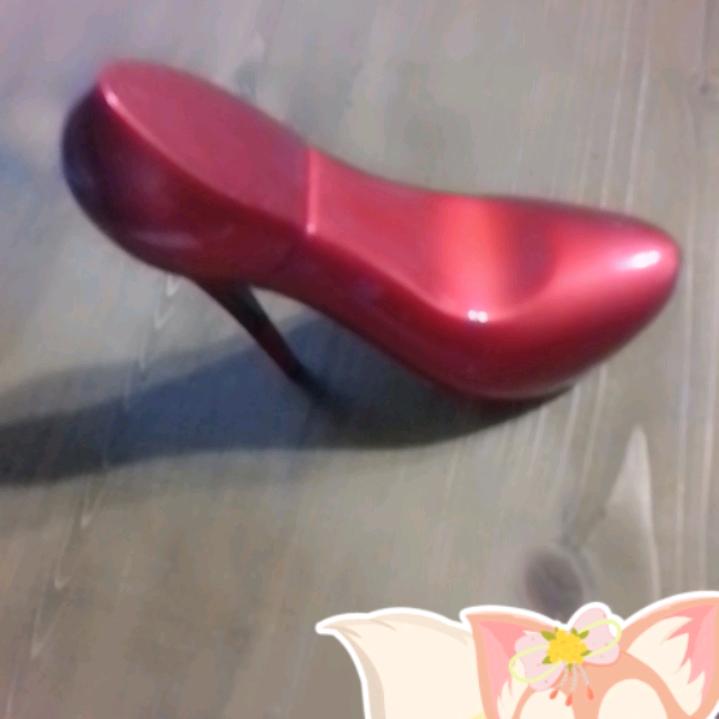 流浪猫