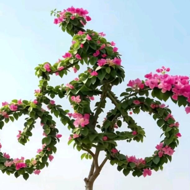 🌻🌻🍎🍎✌✌