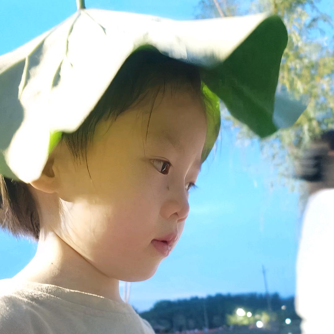 在家躺平的咩咩羊