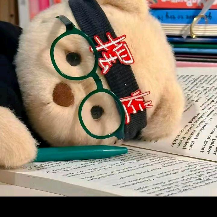 🚗🚗二狗烧饼香椿辣子肉夹馍🔥🔥