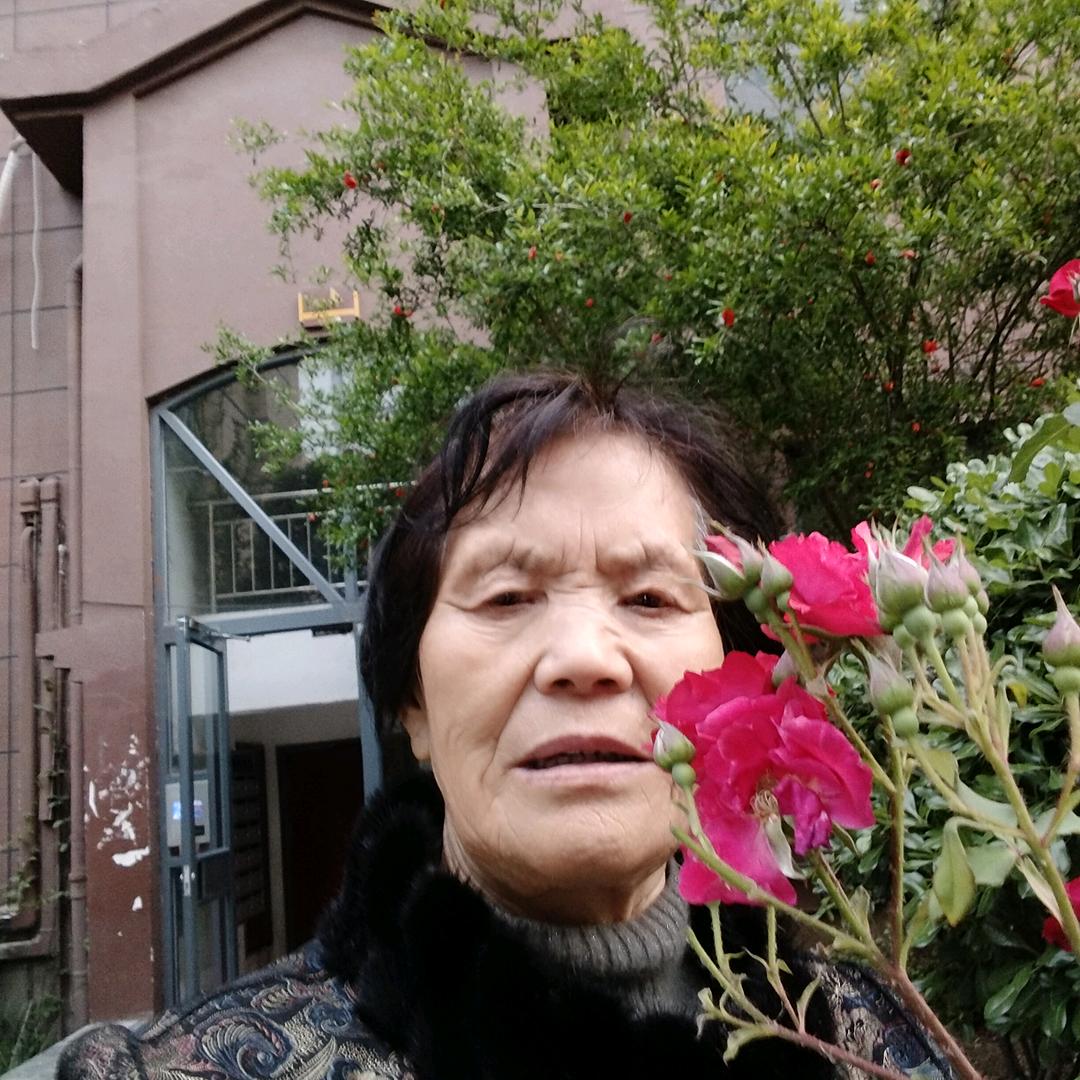 沈姐爱画画