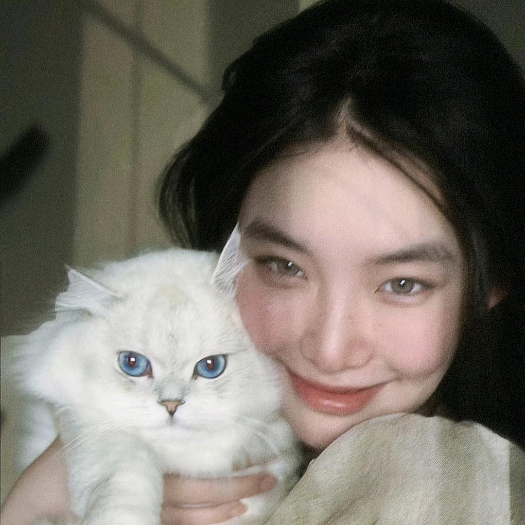 小杨小杨