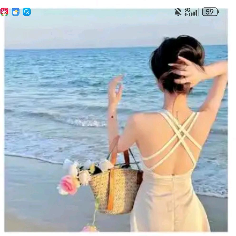 锦鲤衣橱