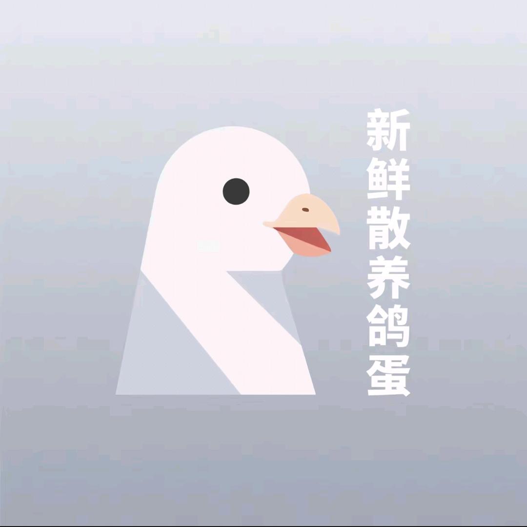 飞翼鸽业坊