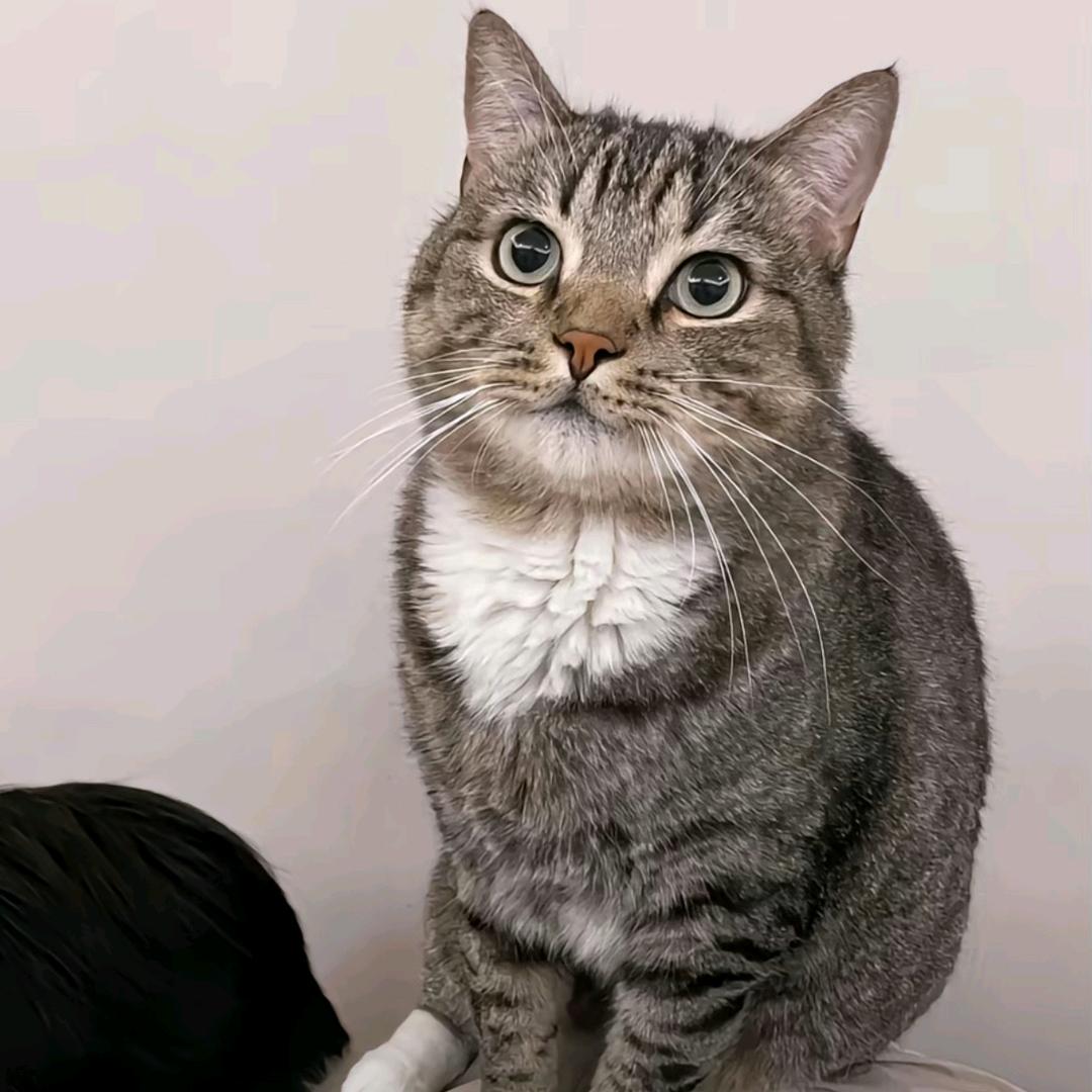 卖白雪的苹果🍎