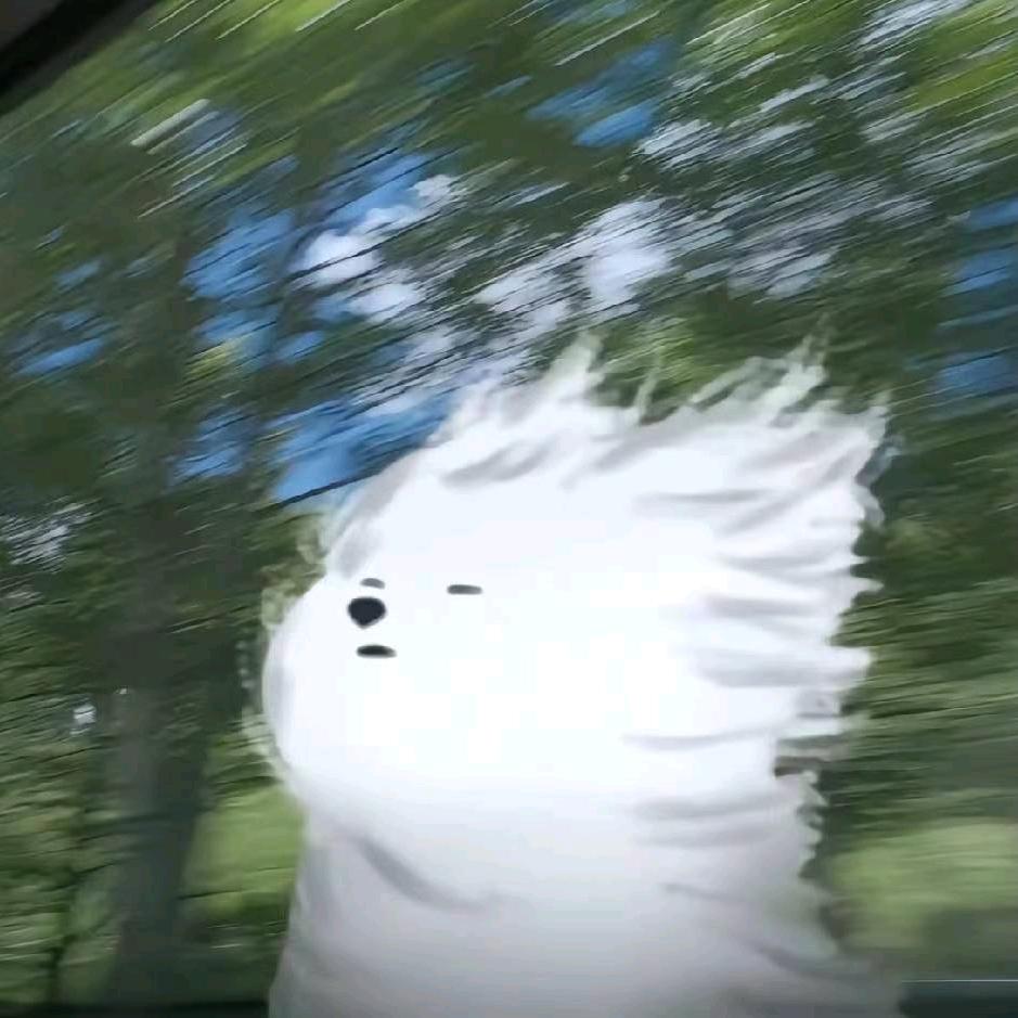 蛮可爱的小水牛