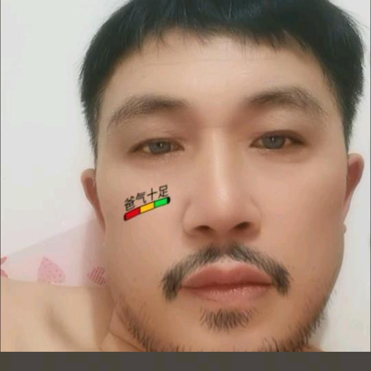 东北虎
