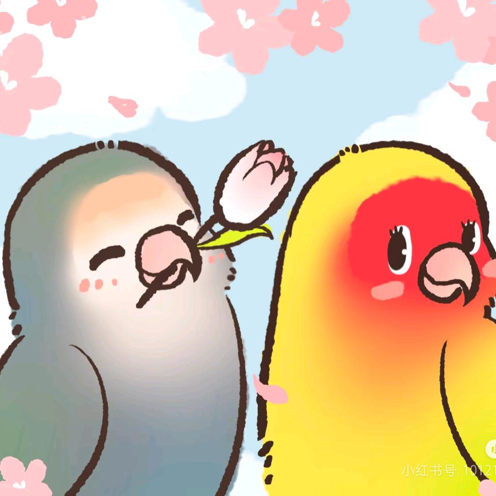 狮子座的鹦鹉
