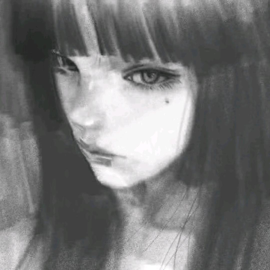 九天揽月