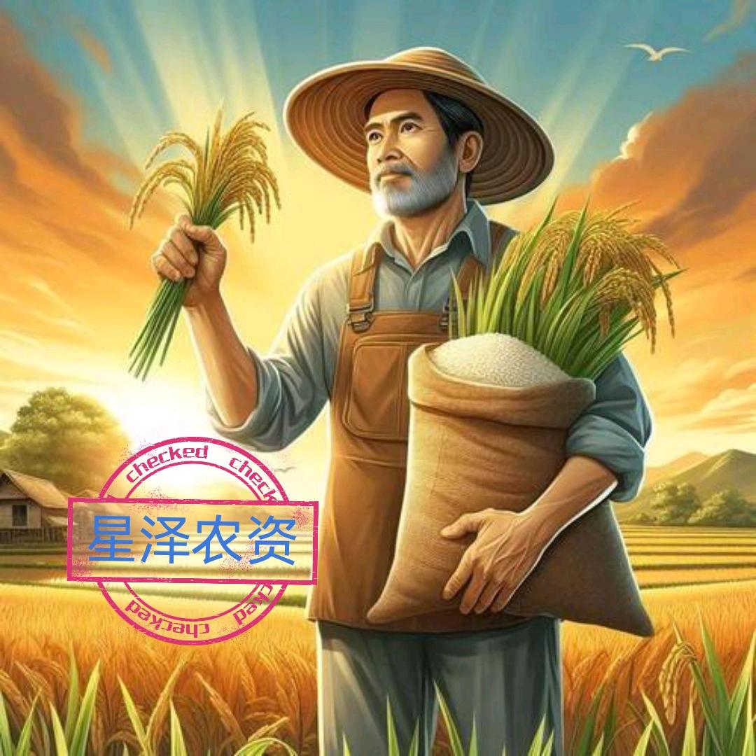 星泽农资