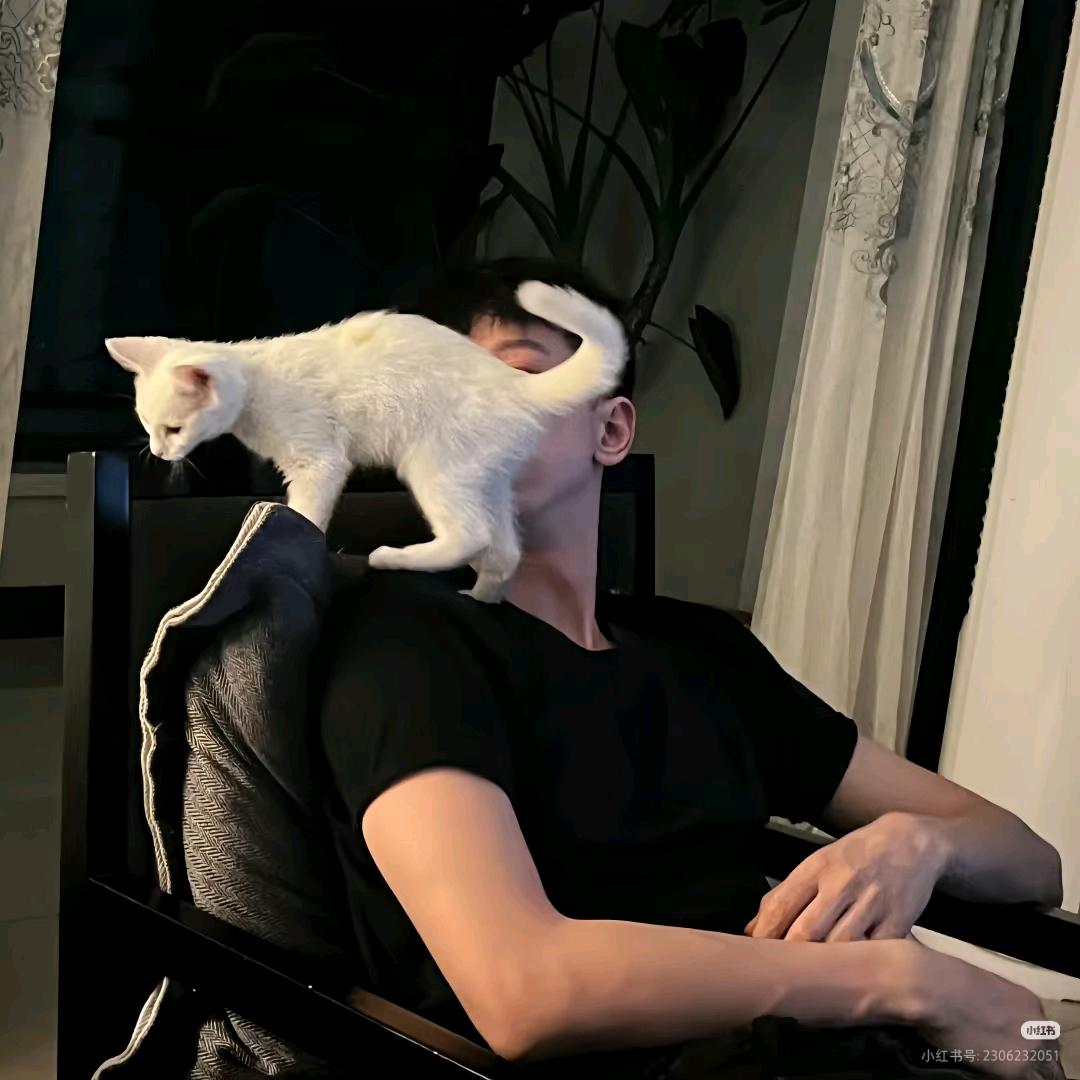 你美式叭