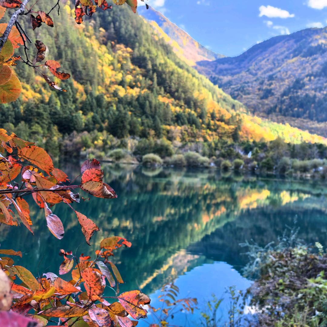 我姓尔玛名冬冬(10：00直播)