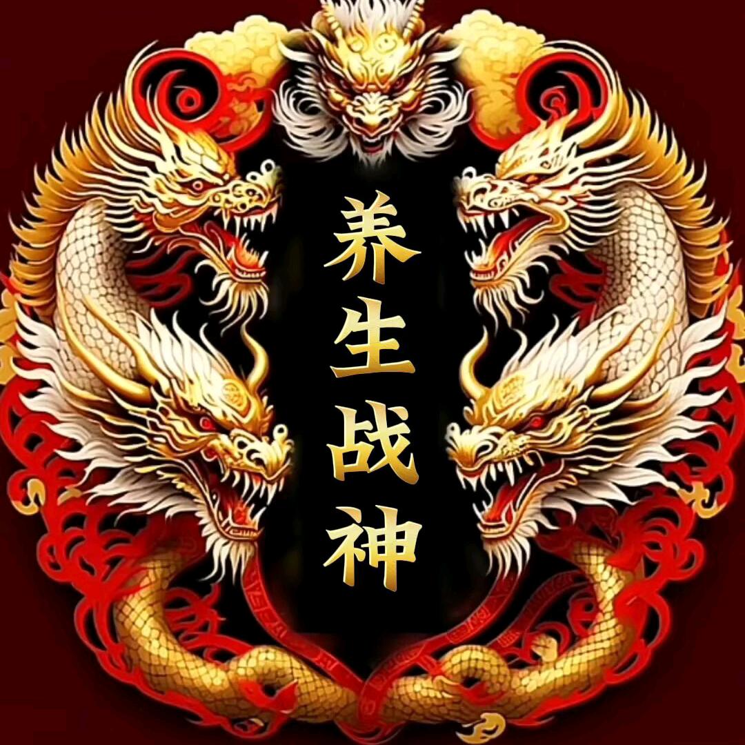 养生战神