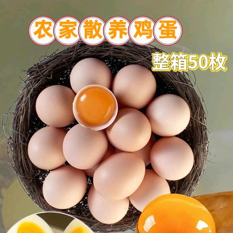 zjie881107