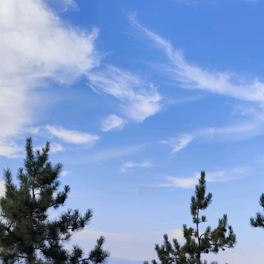 暮光沉寂