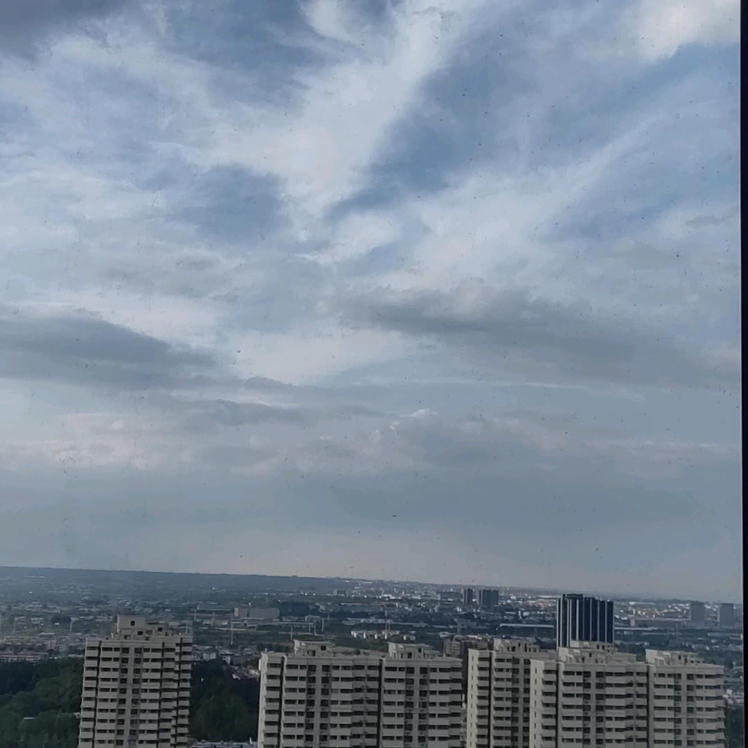 向阳一生