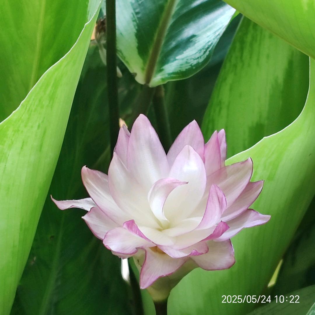 美好时光静好