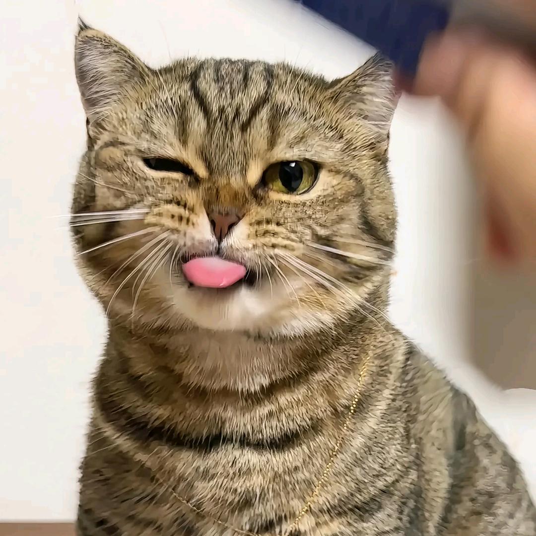 看透人心