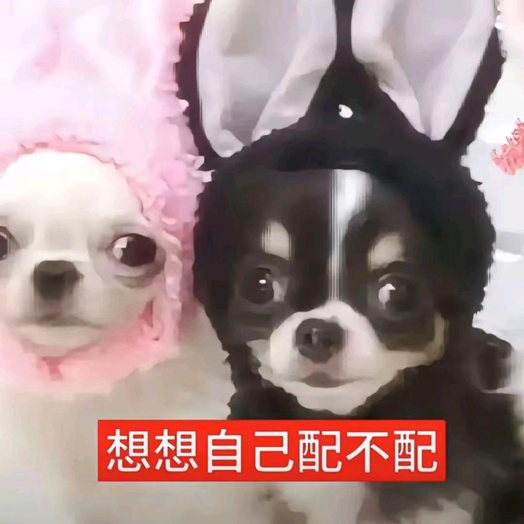用户名58438672头像