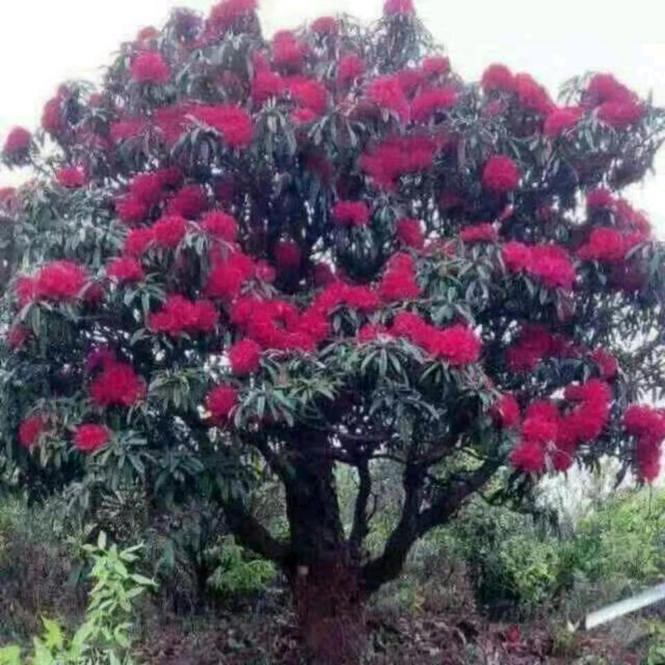 心情好比什么都好