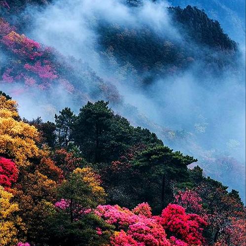 一曦晨光