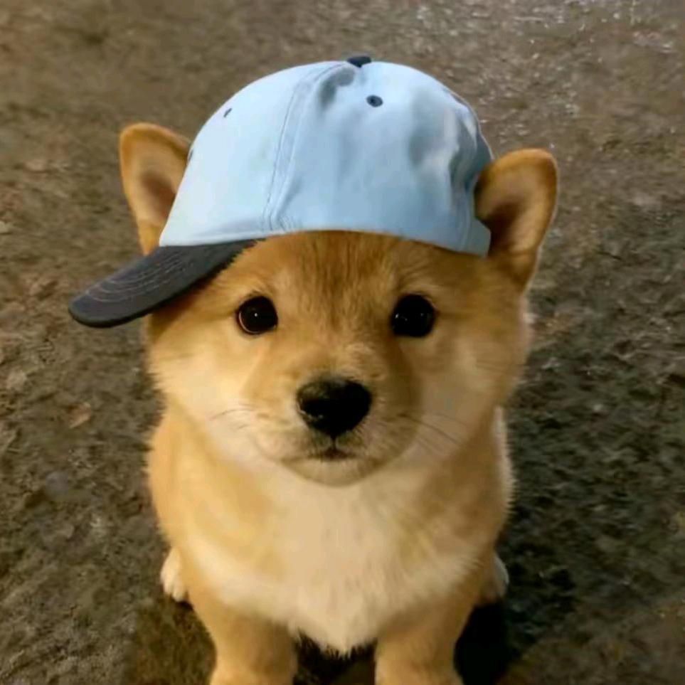 兮兮