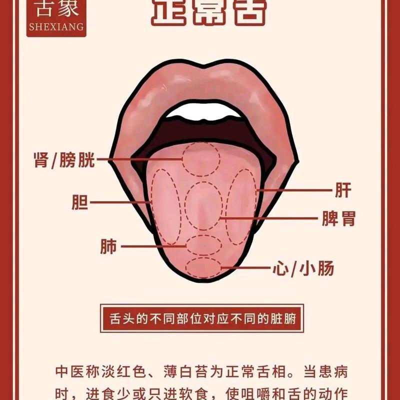 张大君艾灸拔罐