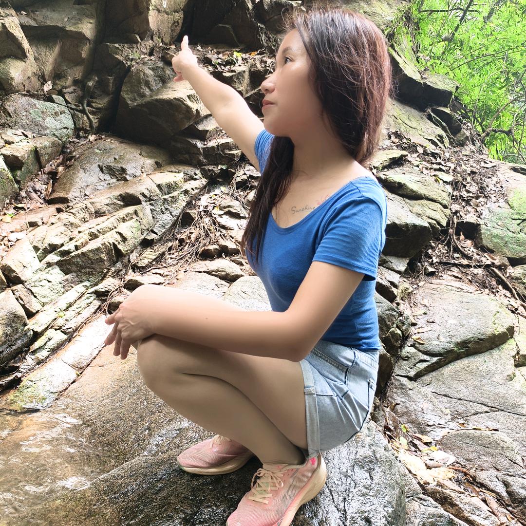 杨杨