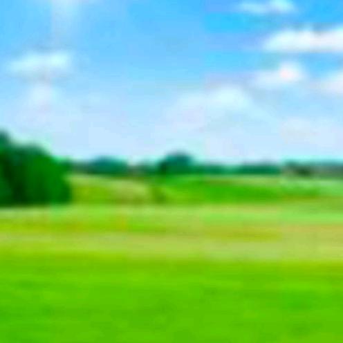 欣欣向荣👾😄