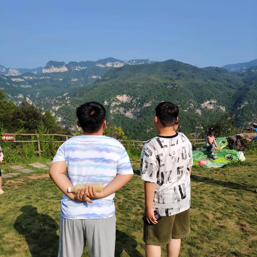 淮阳礼物豆